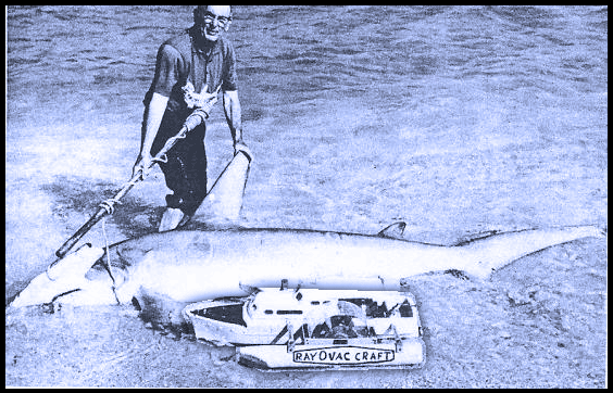 Shark, Rc Fishing